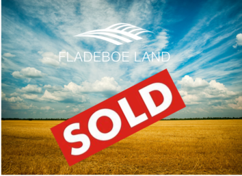 SOLD - Quality Tillable Farmland in Renville County - 2 Parcels - SOLD