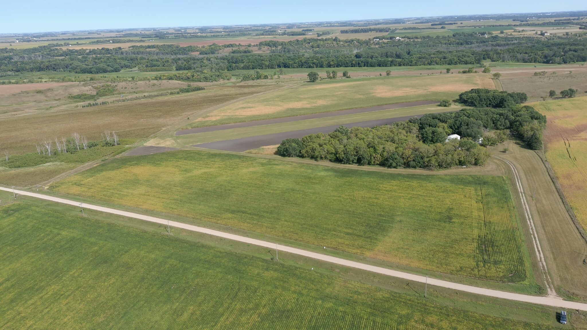 SOLD Farmland Auction in Lac qui Parle County 110.86+/ Surveyed