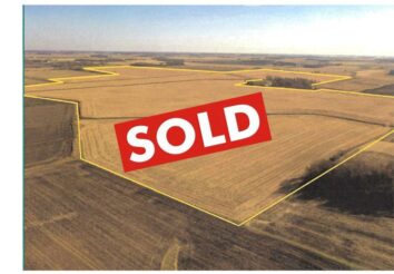 SOLD - Farmland For Sale in Freeborn Co. - 388.46+/- Acres; 364.33+/- Tillable (FSA) Acres