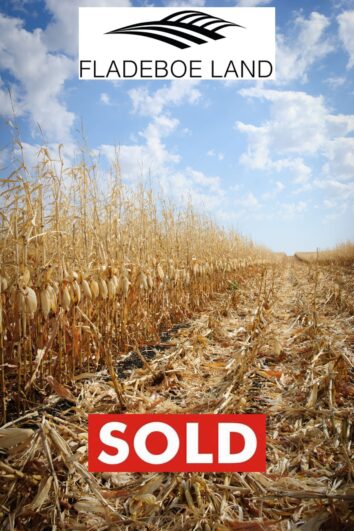 SOLD - Kandiyohi Co Farmland For Sale - 60+/- Deeded Acres in Section 25 of Holland Twp